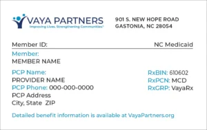 Vaya Partners ID Card